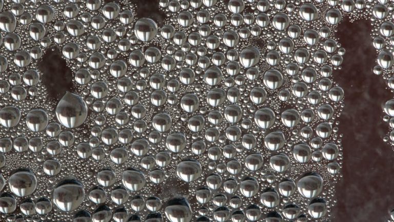 Utiliser du verre au micro-ondes : conseils et précautions essentielles